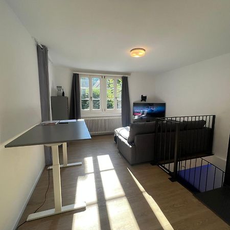 Blick Auf Schwarzen Turm - Freihofapartments Brugg  Bagian luar foto